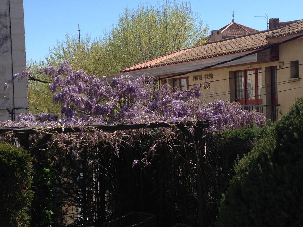 D'oc D'or Chambre D'hôtes Murviel Exterior foto